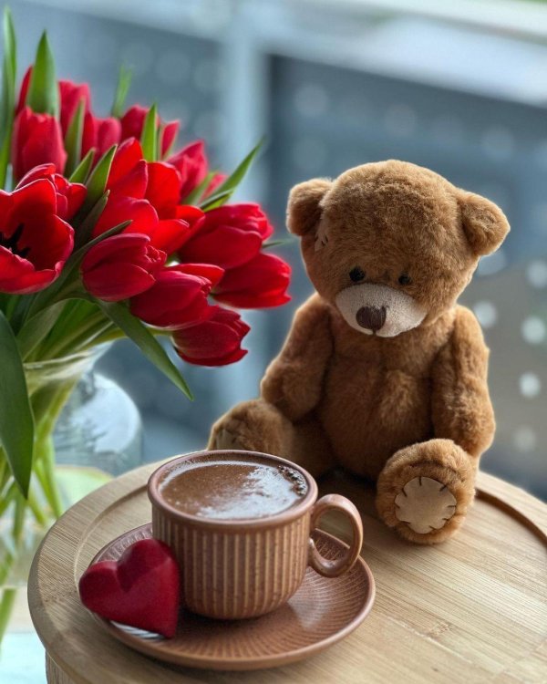 медвежонок с тюльпанами