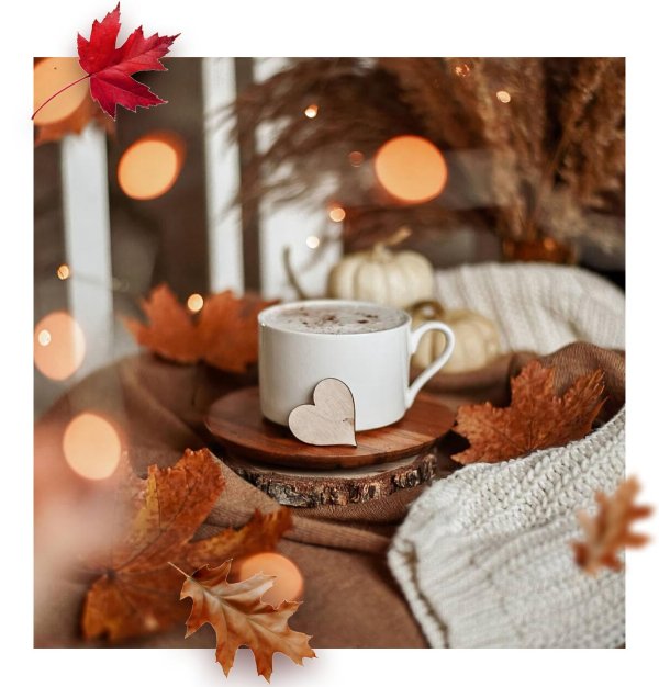 тёплого уютного дня