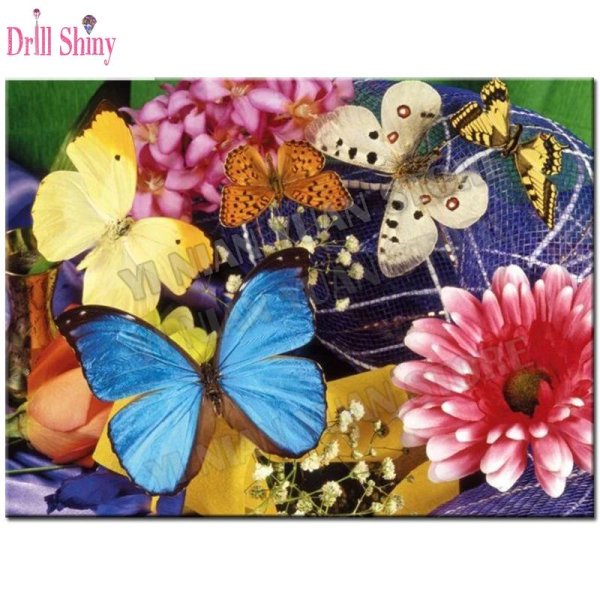 красивые цветы и бабочки