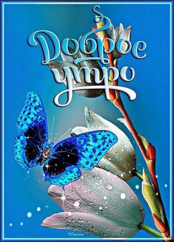 доброго утра открытка