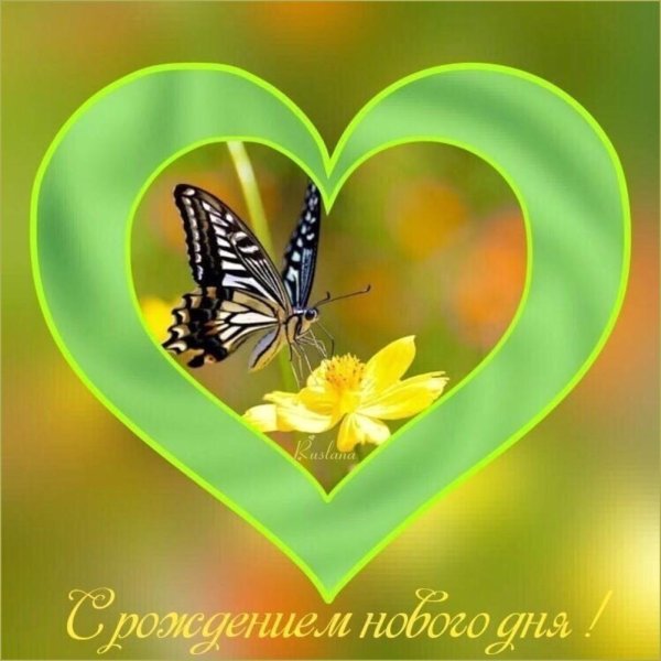 доброе утро с бабочками