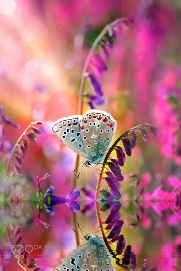 с добрым утром красивые необычные