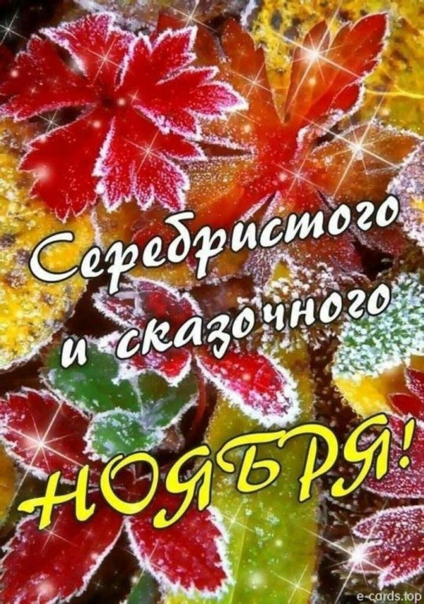 изморозь на листьях