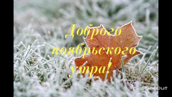 ноябрь наступил