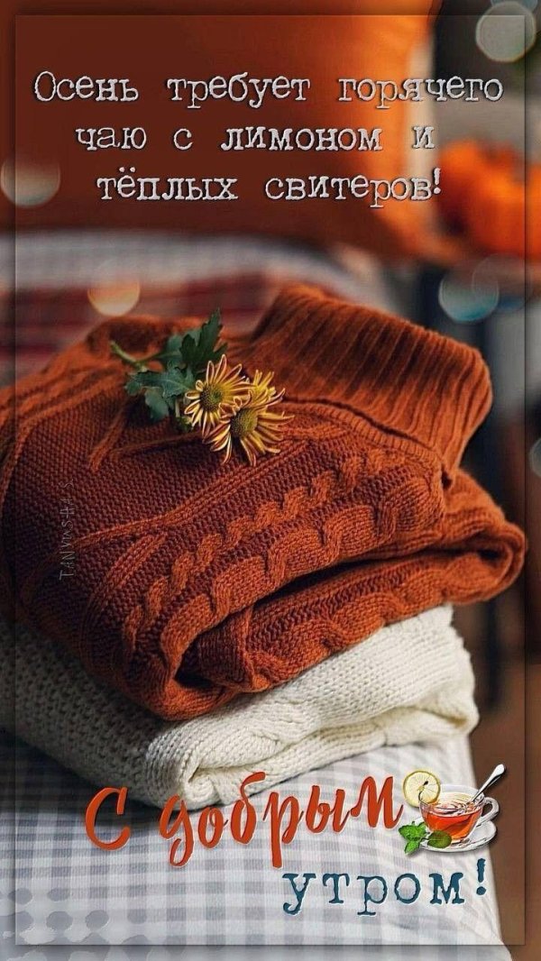 теплый свитер