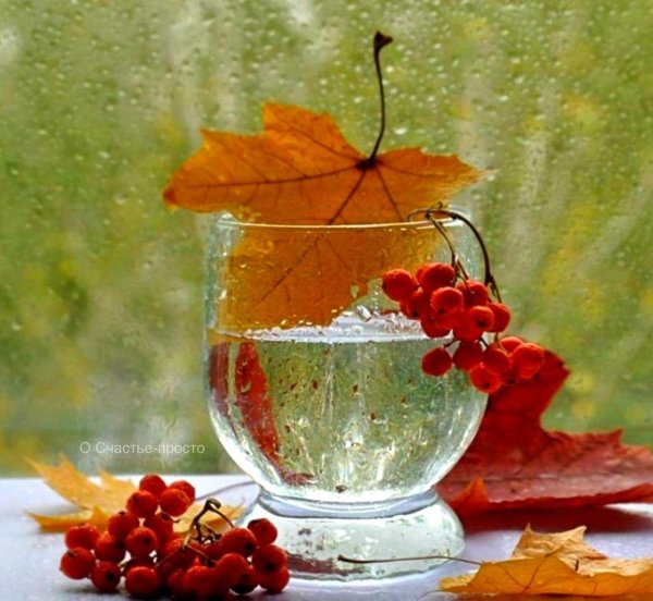 натюрморт осенний