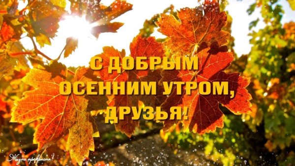 доброе осеннее утро друзья
