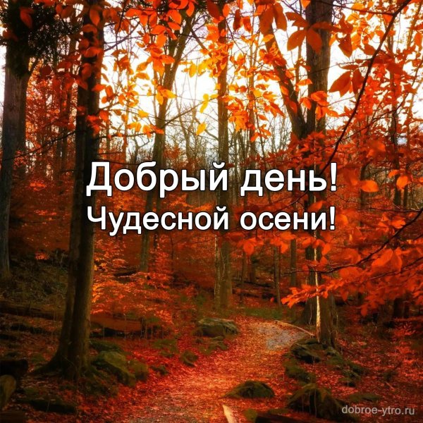 доброго дня осени