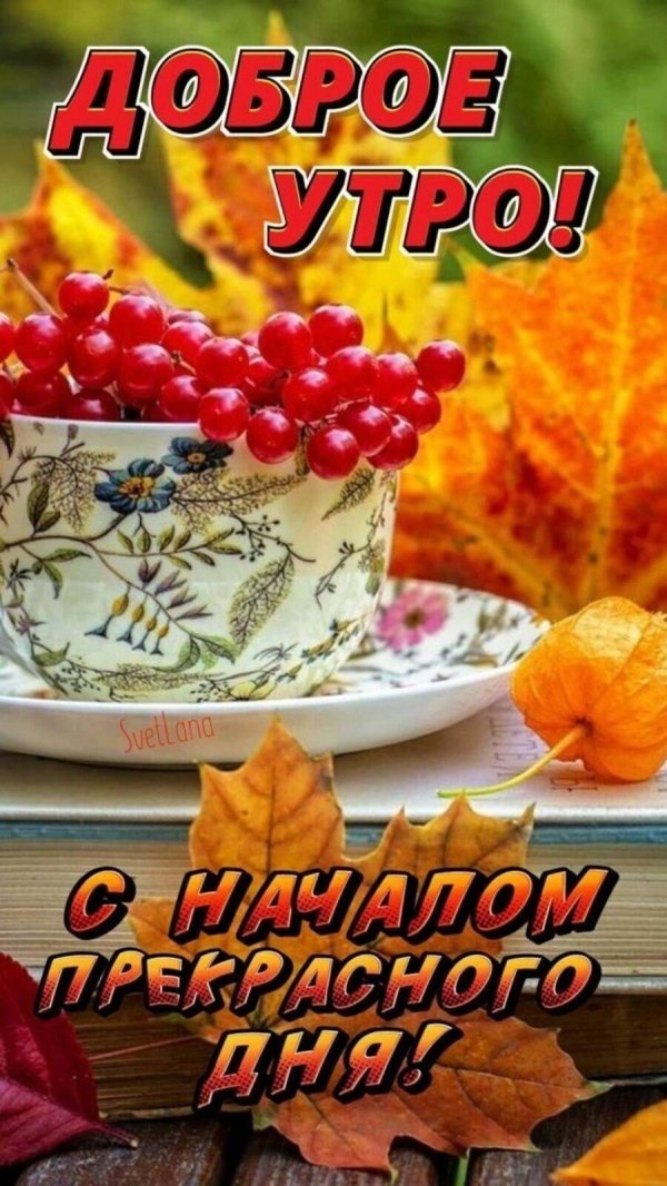 доброго утра осени