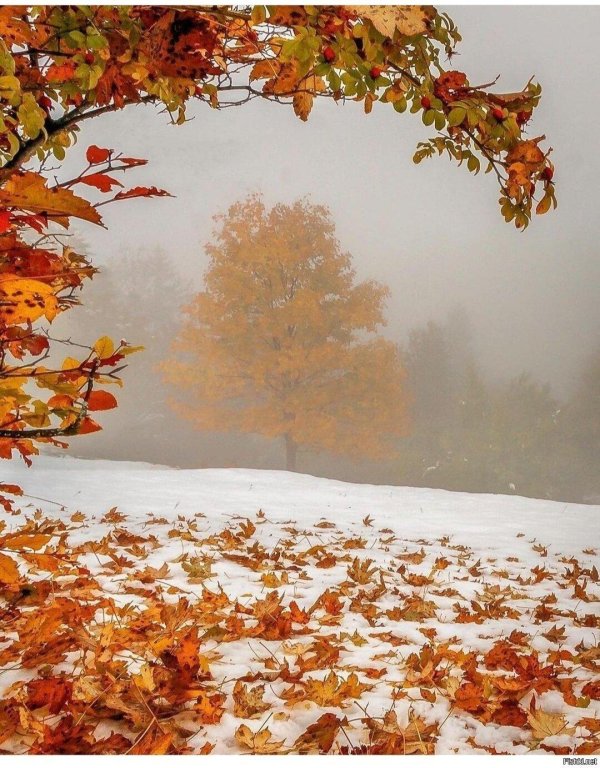 осенние пейзажи