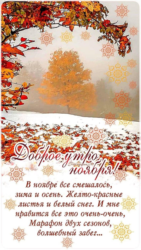 доброго ноябрьского утра