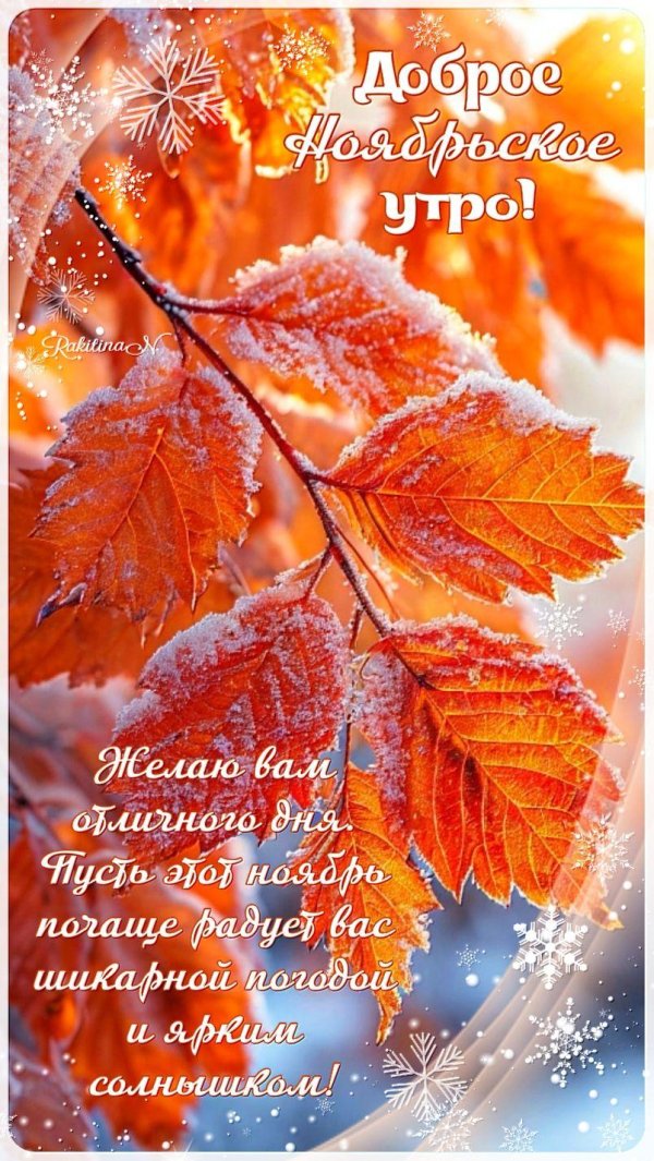 пожелание доброго утра ноября