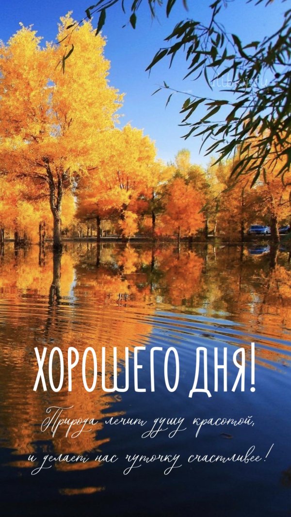 осенняя природа