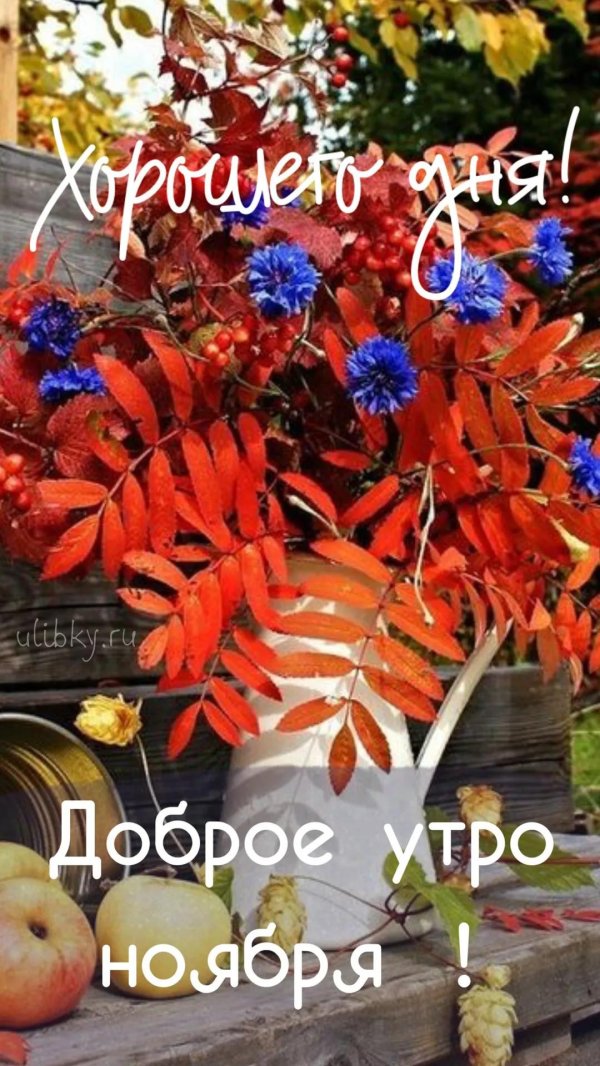 доброго утра осеннего