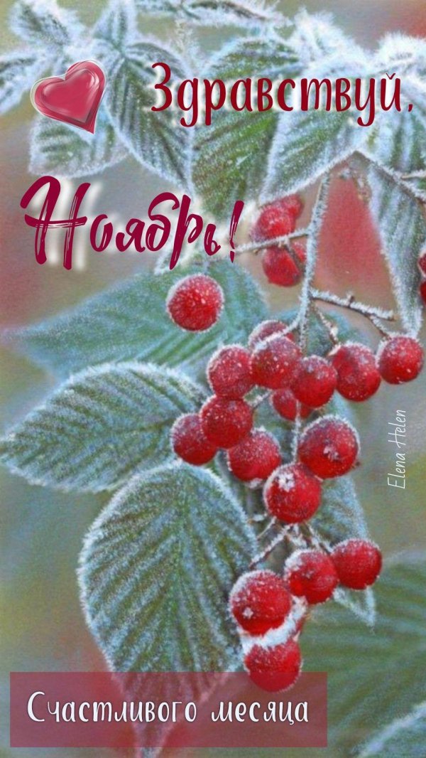ноябрь привет