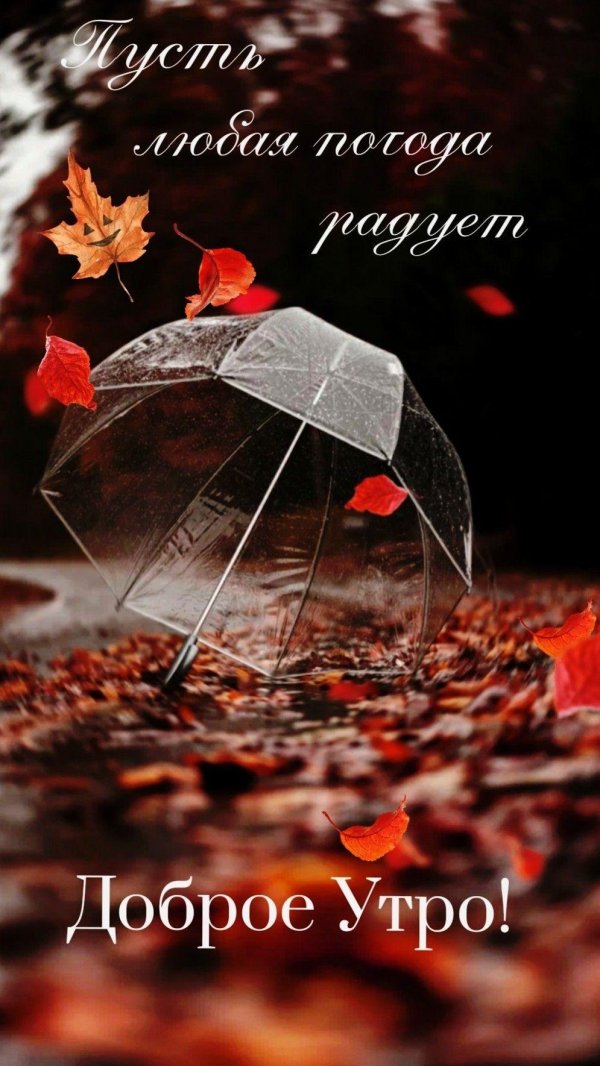 доброго осеннего ноябрьского утра