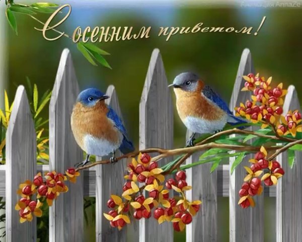 осенний привет
