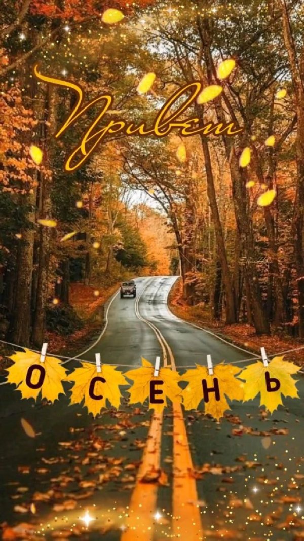 осенняя дорога