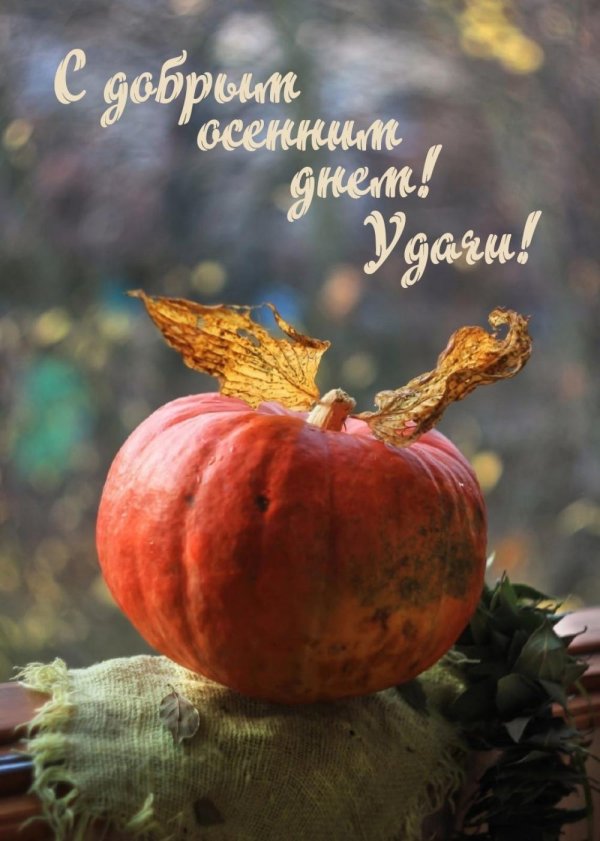 хорошего дня осеннего