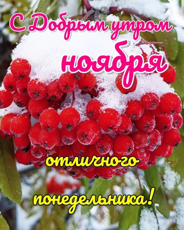 с первым днем ноября доброе утро