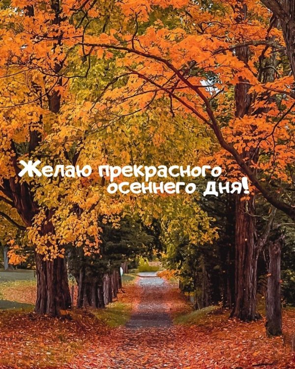 прекрасного осеннего дня
