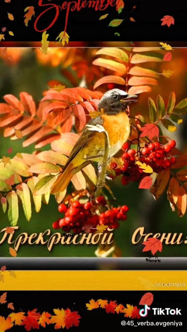 открытки добрый день осенние красивые