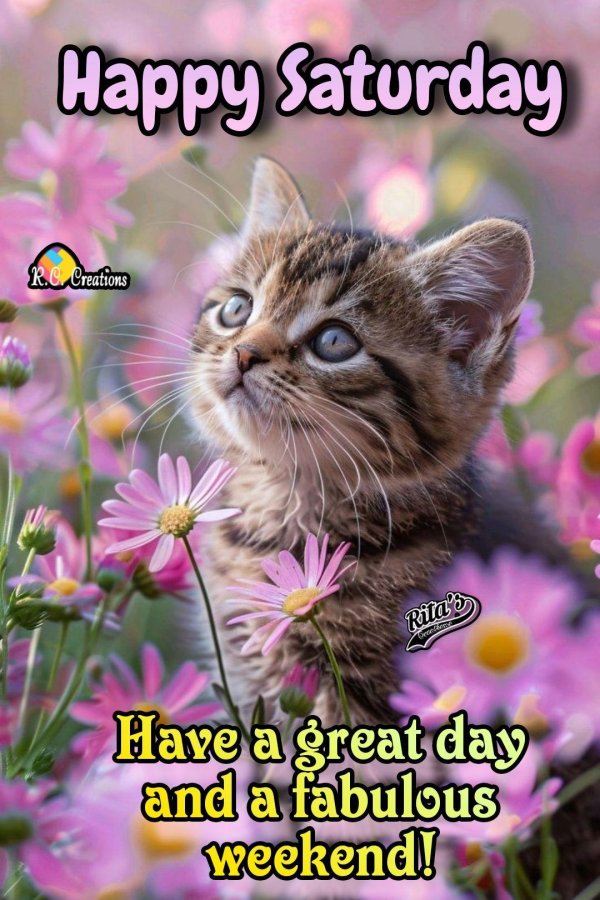 очаровательные котята