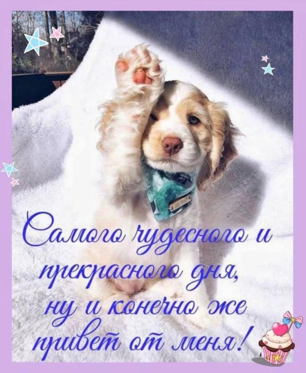 день добрый пожелания