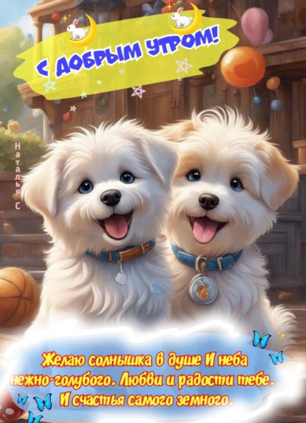 милая собачка