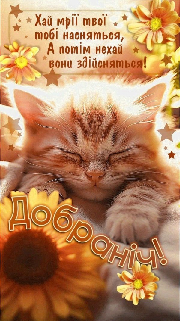 котенок красивый