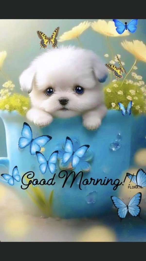 good morning puppy