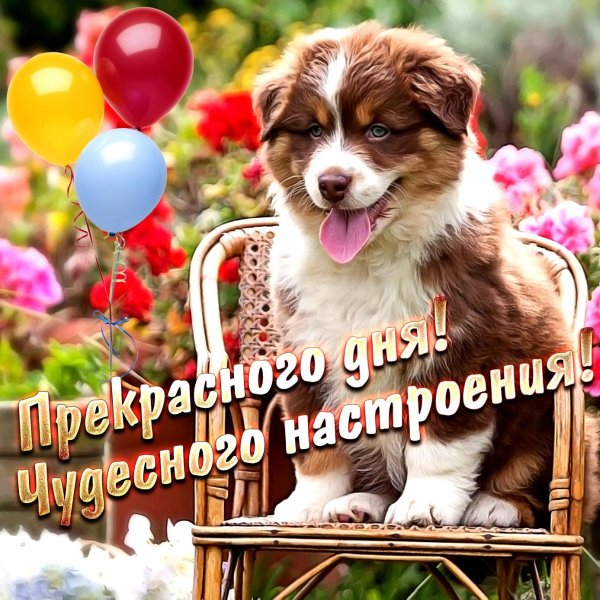 хорошего настроения на весь день