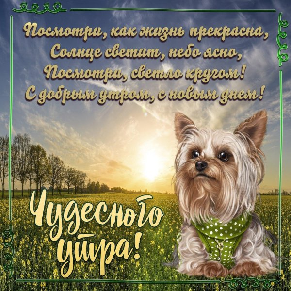 добрые пожелания