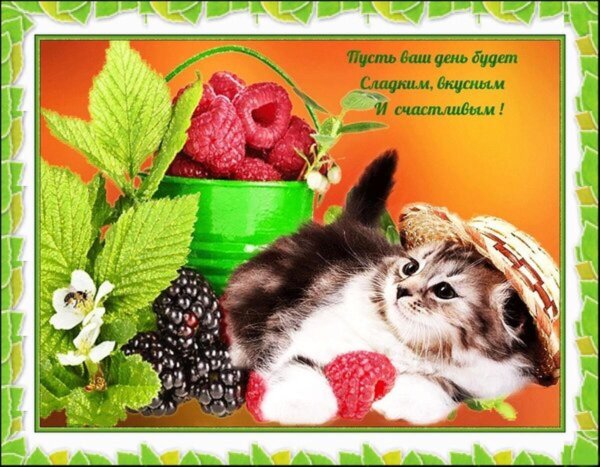 красивые открытки на каждый день