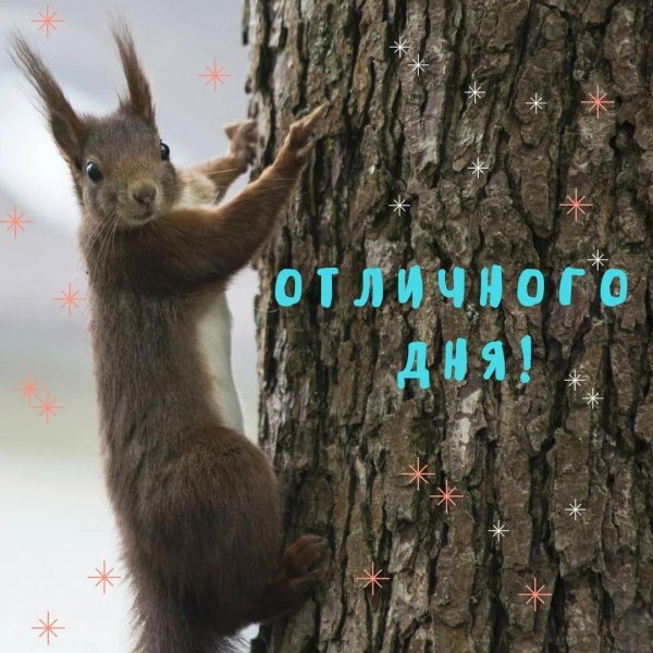 отличного дня