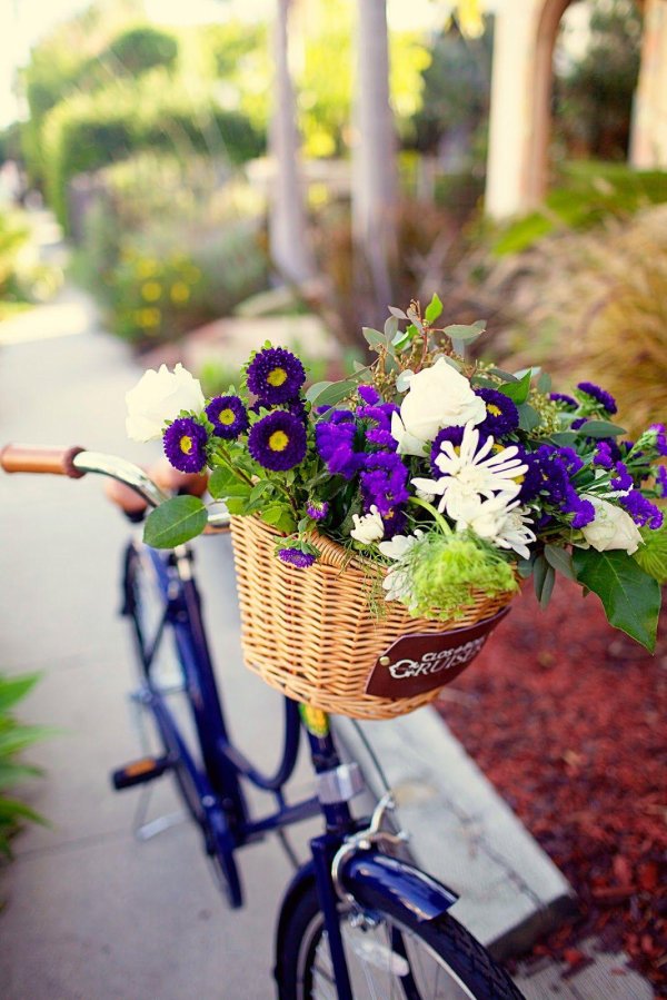 велосипед цветы