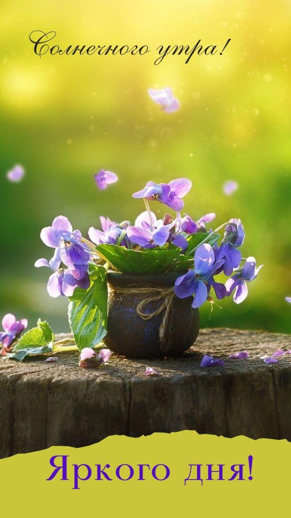 утро с пожеланиями