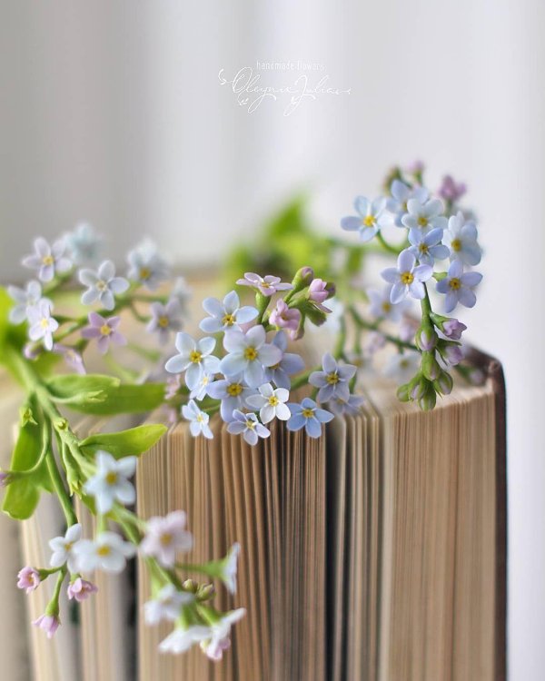 незабудка холодный фарфор