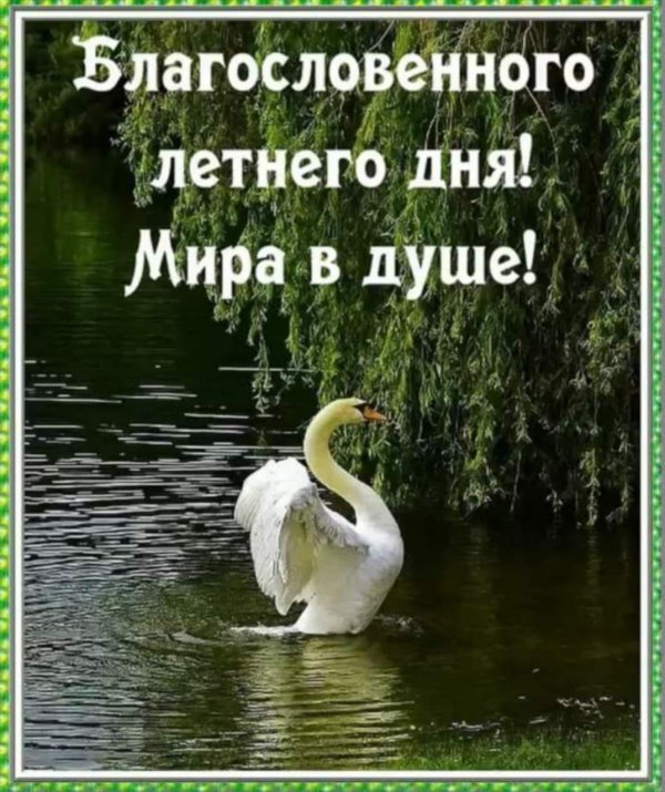 благословенного воскресения