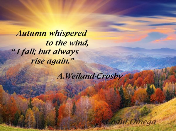 осень солнце