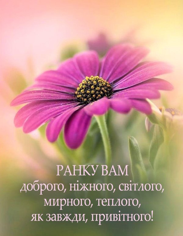 доброго ранку