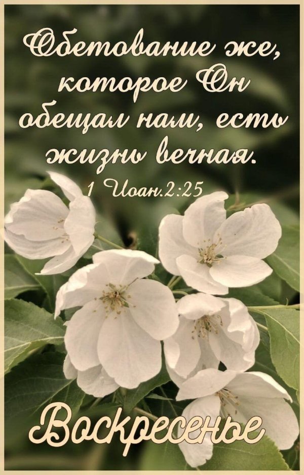 христос воскрес