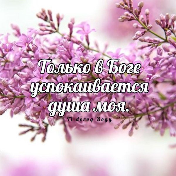 библейские стихи