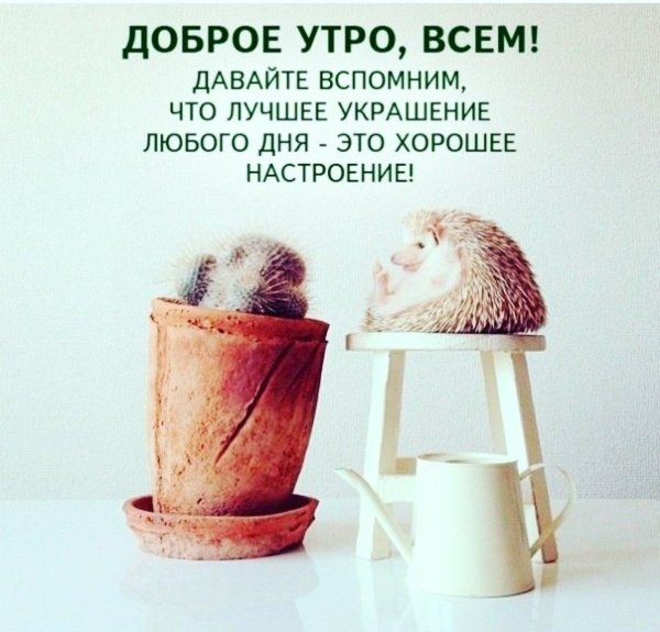 хорошего дня креативные