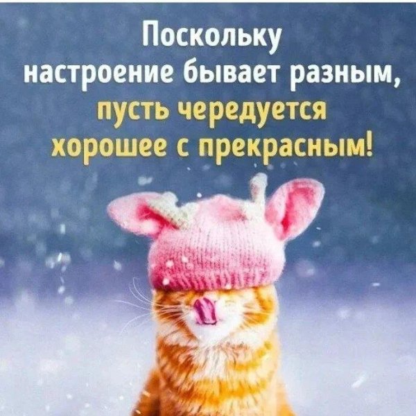 новогоднего настроения