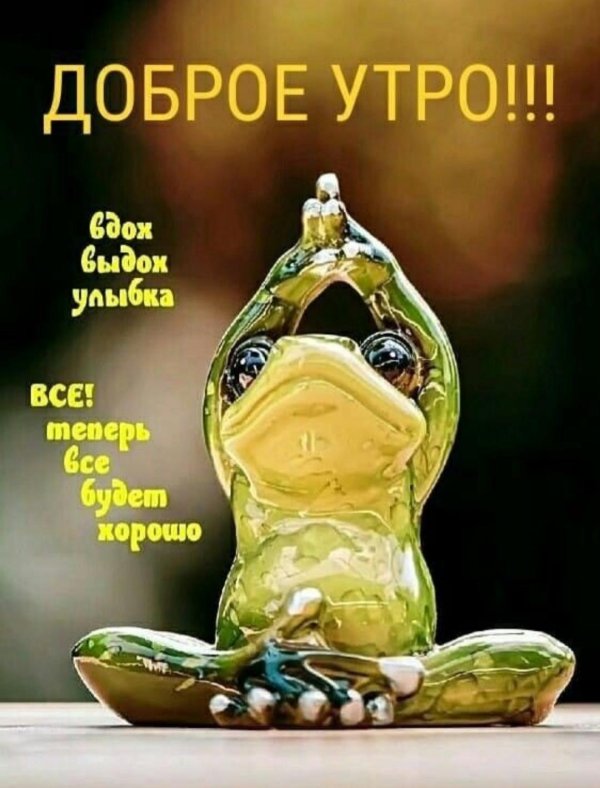 лягушка йога