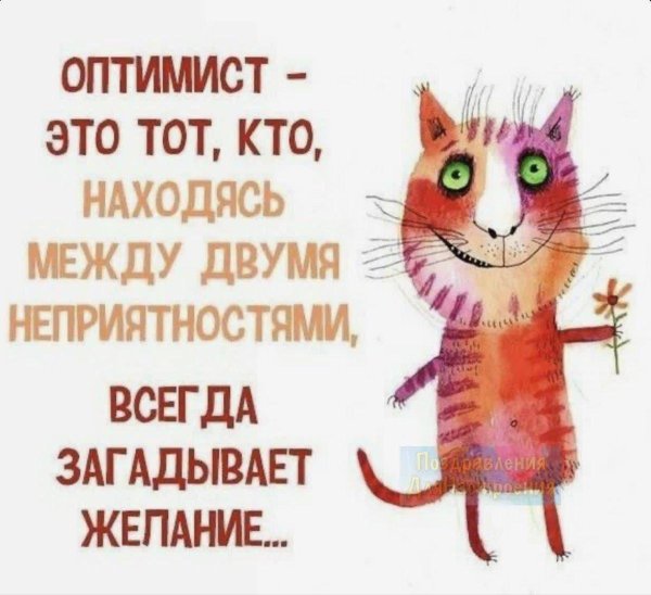 смешное про оптимистов