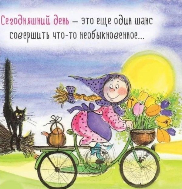 финская художница вирпи пеккала