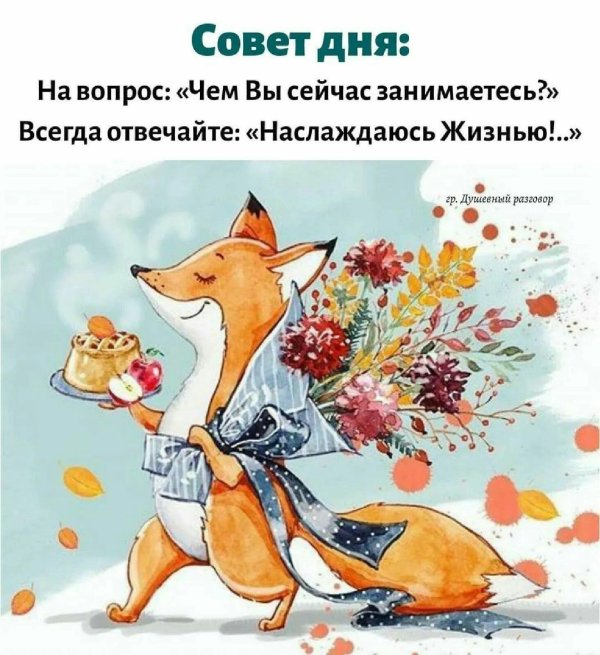 лисичка с днем рождения