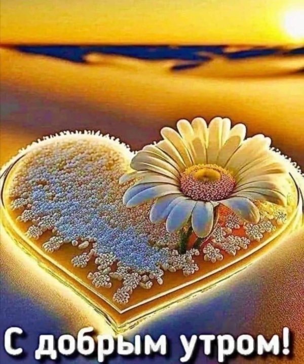 добра утра